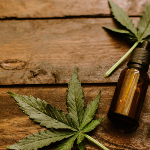 CBD 101 What Is Organic CBD Oil